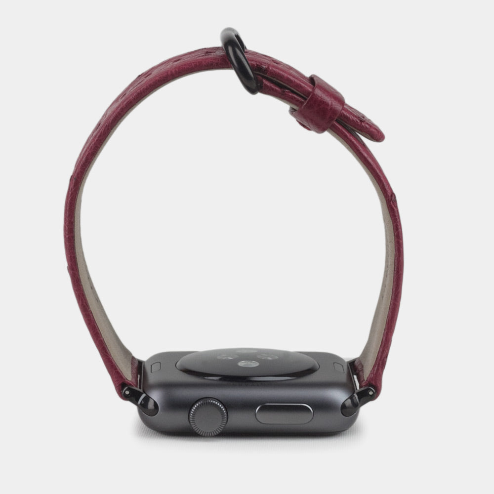 Strap for the Apple Watch 41/42 mm in fuchsia ostrich leather, with black adapters and buckle | front view of the strap looped around the watch case