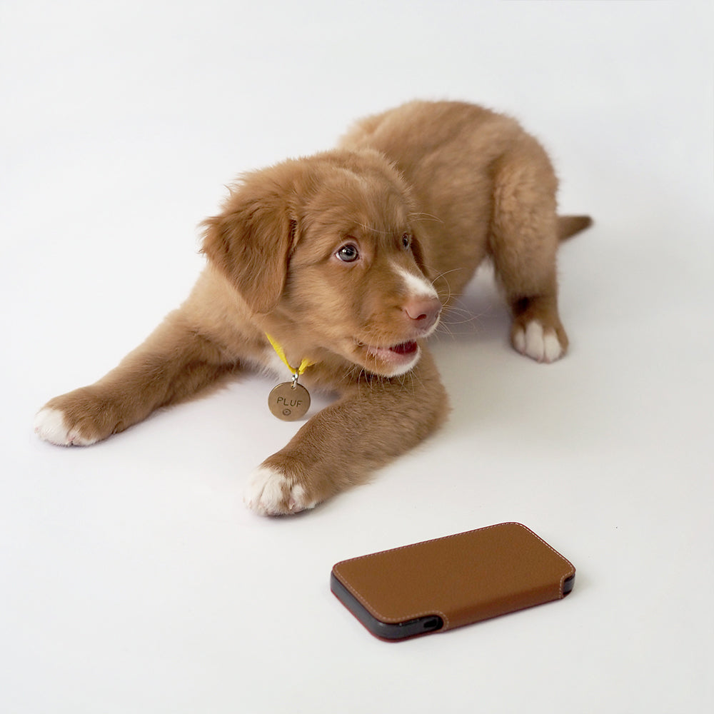 Custodia a portafoglio per iPhone 15 Pro Max Oro – Folio MagSafe in pelle premium