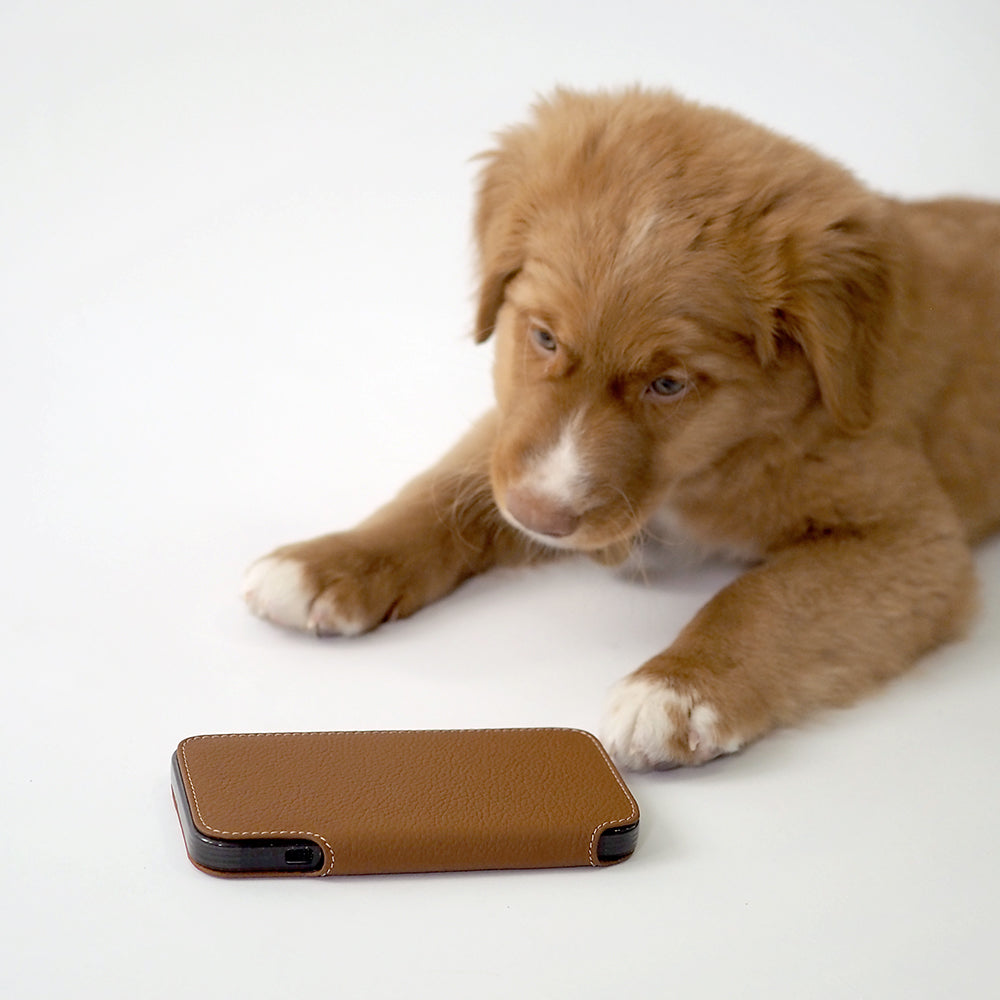 Coque portefeuille iPhone 15 pro max gold cuir de veau – MagSafe