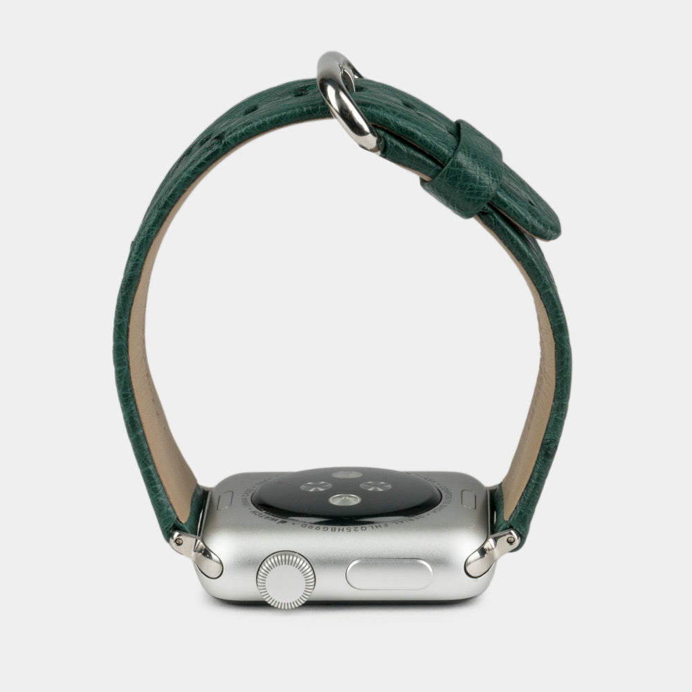 strap apple watch 40 / 41mm ostrich green