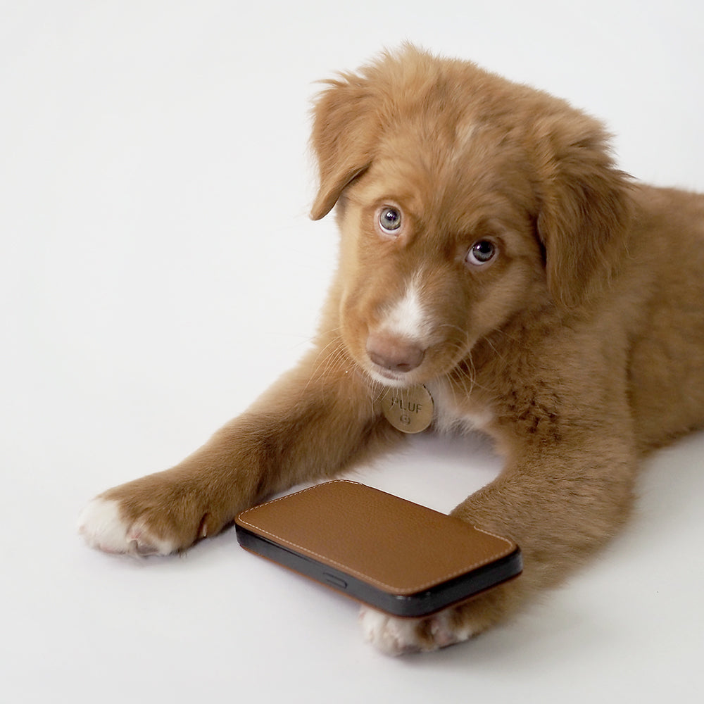 Gold calfskin leather folio case for iPhone 15 Pro resting on a white floor beside a puppy