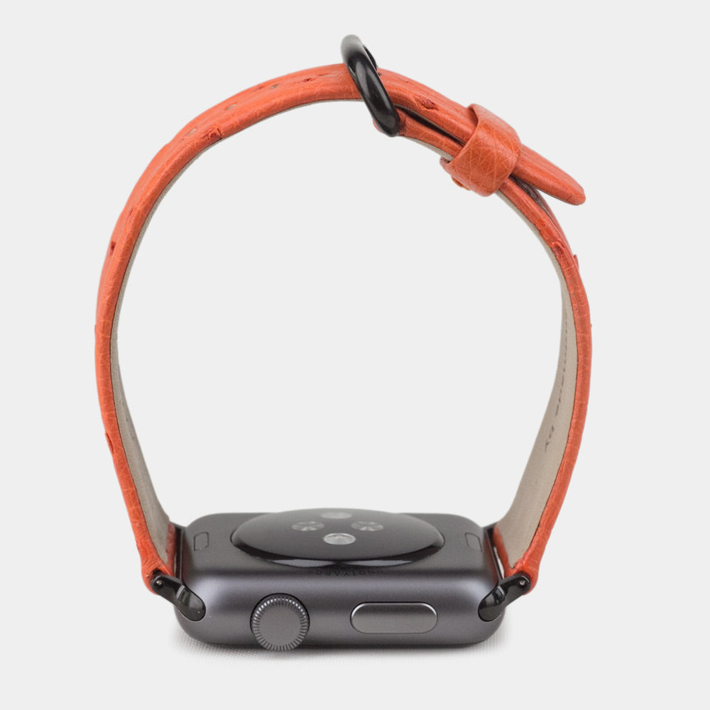 Strap for the Apple Watch 41/42 mm in orange ostrich leather, with black adapters and buckle | front view of the strap looped around the watch case