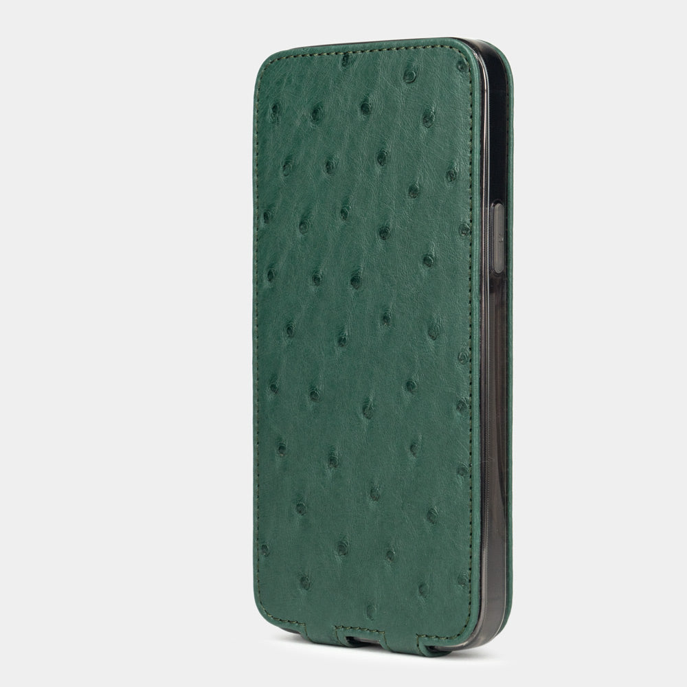 case iPhone 12 mini ostrich green